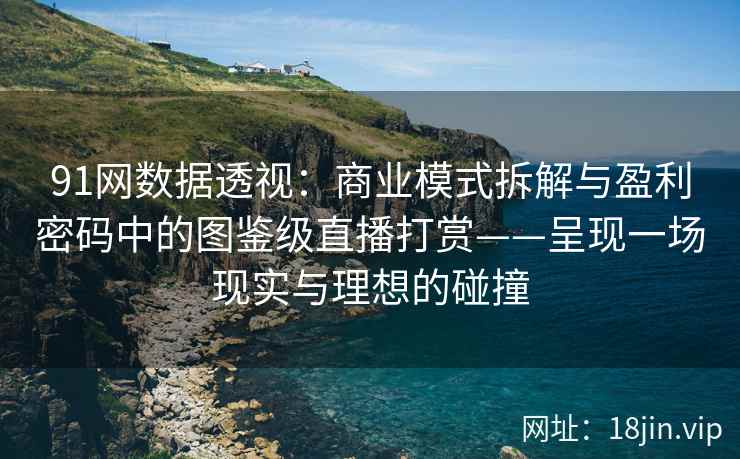 91网数据透视：商业模式拆解与盈利密码中的图鉴级直播打赏——呈现一场现实与理想的碰撞  第2张