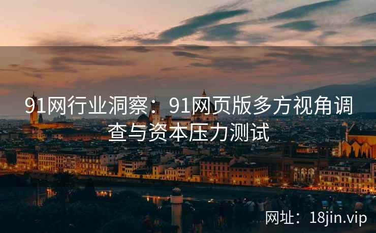 91网行业洞察：91网页版多方视角调查与资本压力测试  第1张