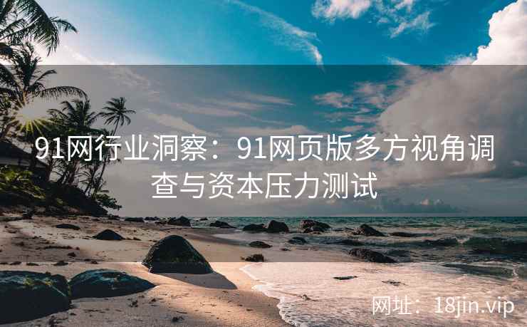 91网行业洞察：91网页版多方视角调查与资本压力测试  第2张