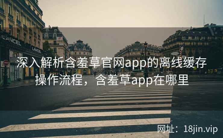 深入解析含羞草官网app的离线缓存操作流程，含羞草app在哪里