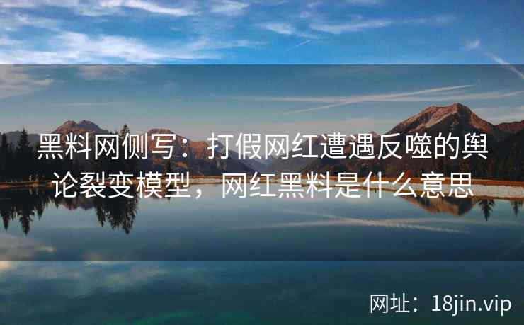 黑料网侧写：打假网红遭遇反噬的舆论裂变模型，网红黑料是什么意思