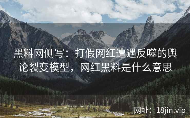 黑料网侧写：打假网红遭遇反噬的舆论裂变模型，网红黑料是什么意思