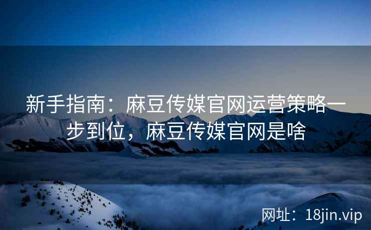 新手指南：麻豆传媒官网运营策略一步到位，麻豆传媒官网是啥