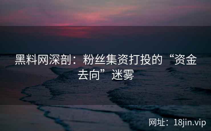 黑料网深剖：粉丝集资打投的“资金去向”迷雾