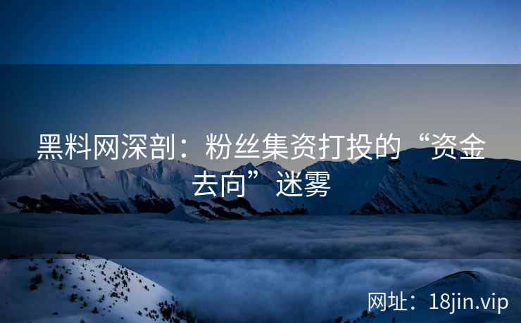 黑料网深剖：粉丝集资打投的“资金去向”迷雾