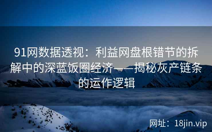 91网数据透视：利益网盘根错节的拆解中的深蓝饭圈经济——揭秘灰产链条的运作逻辑