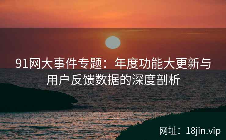 91网大事件专题：年度功能大更新与用户反馈数据的深度剖析