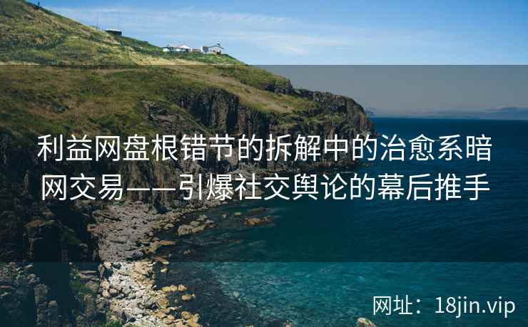 利益网盘根错节的拆解中的治愈系暗网交易——引爆社交舆论的幕后推手  第2张
