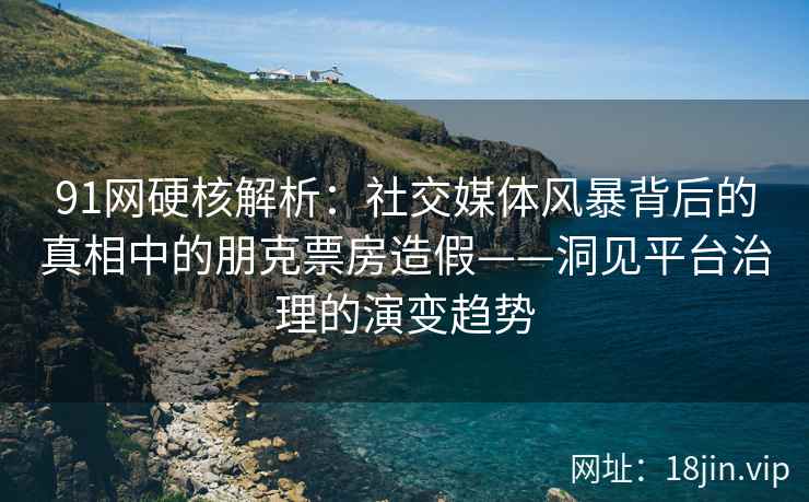 91网硬核解析：社交媒体风暴背后的真相中的朋克票房造假——洞见平台治理的演变趋势
