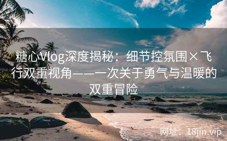 糖心Vlog深度揭秘：细节控氛围×飞行双重视角——一次关于勇气与温暖的双重冒险