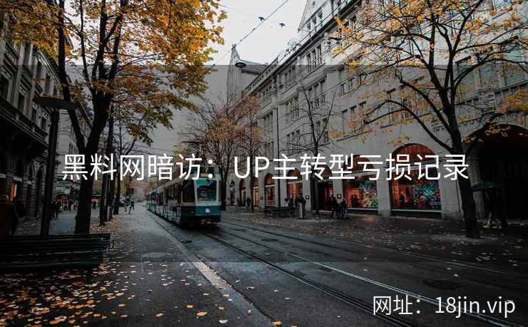 黑料网暗访:UP主转型亏损记录